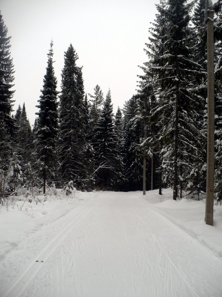 Лыжная трасса