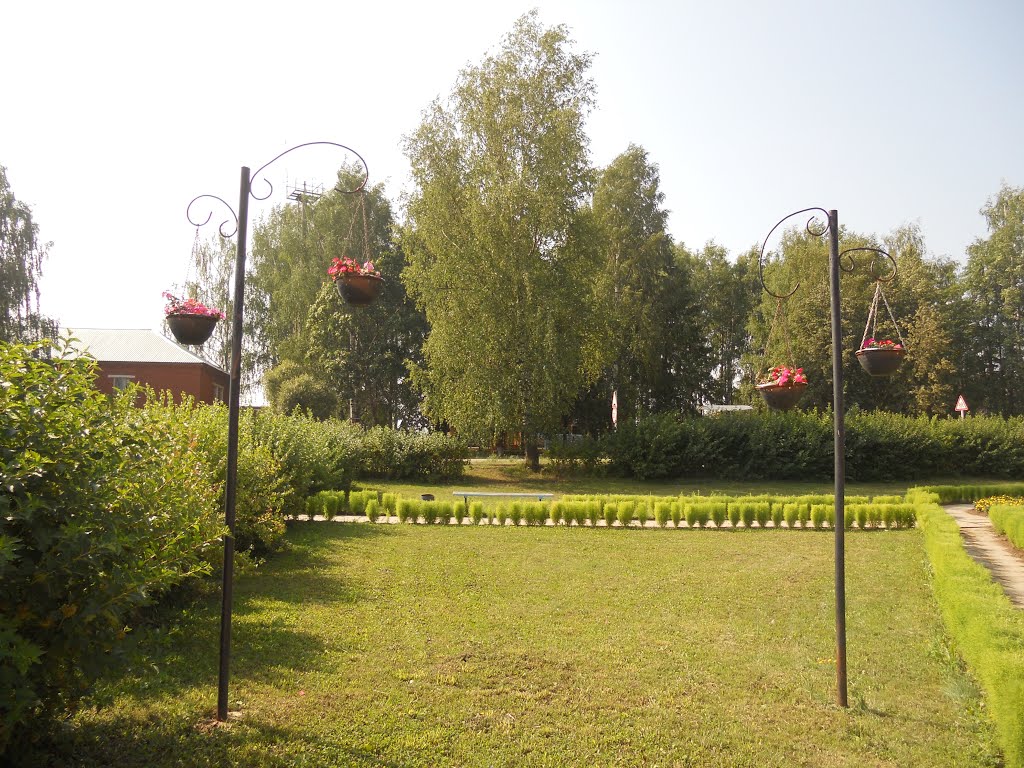 Газон