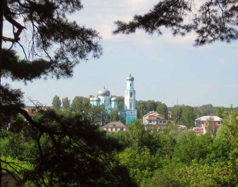 Вид из леса