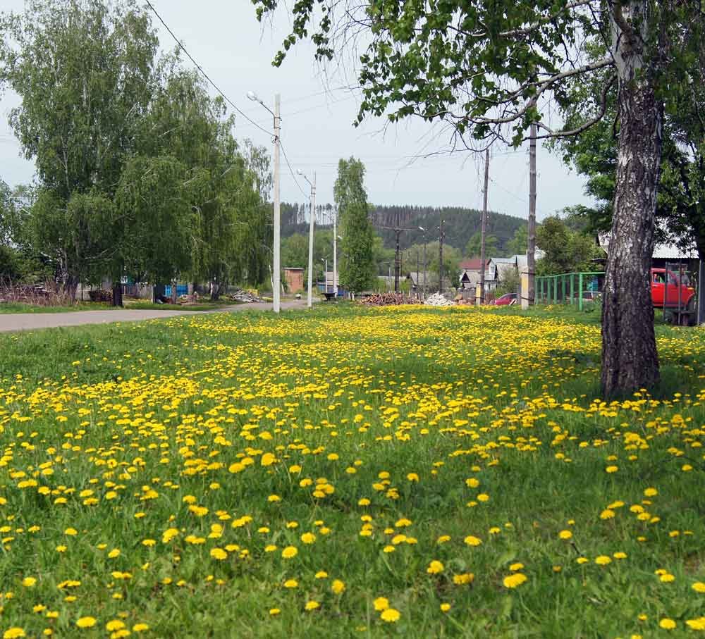 ул. Максима Горького