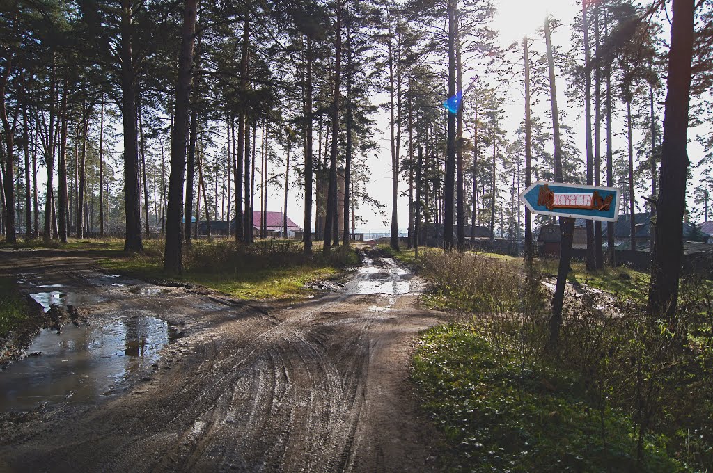 Задачка жениху