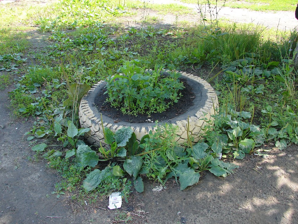 flowerbed