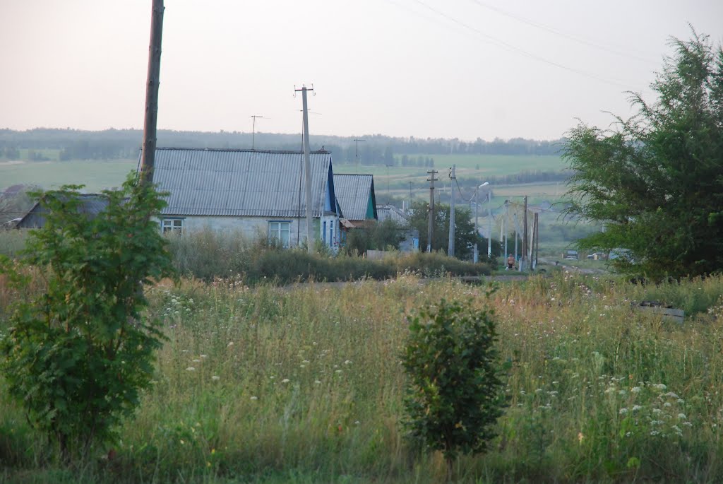 Улица Мира