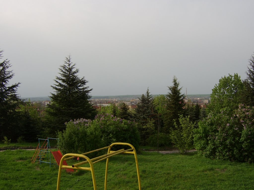V park P.Penev