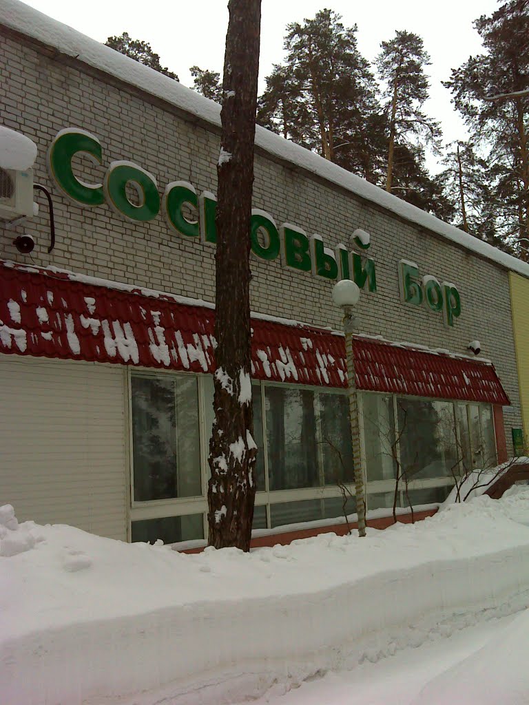 Санаторий "Сосновый Бор"