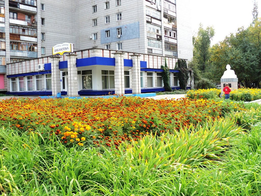 Центральная библиотека, 22.09.2012 г.