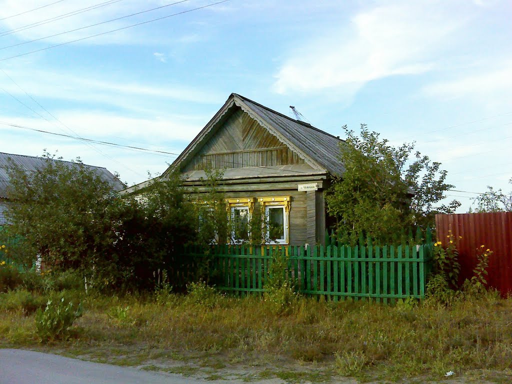 ул. Чкалова, г. Димитровград