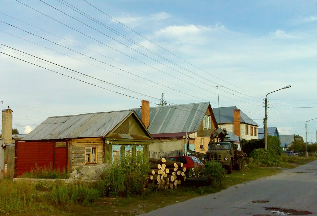 ул. Чкалова, г. Димитровград