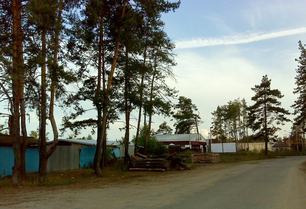 Улица М. Расковой, Димитровград