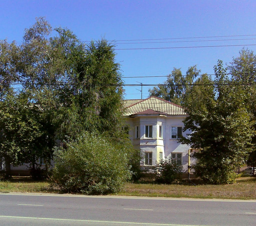ул. Куйбышева, 293, Димитровград