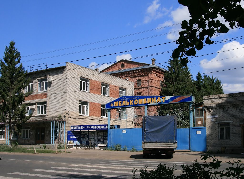 ул. Куйбышева, Димитровград
