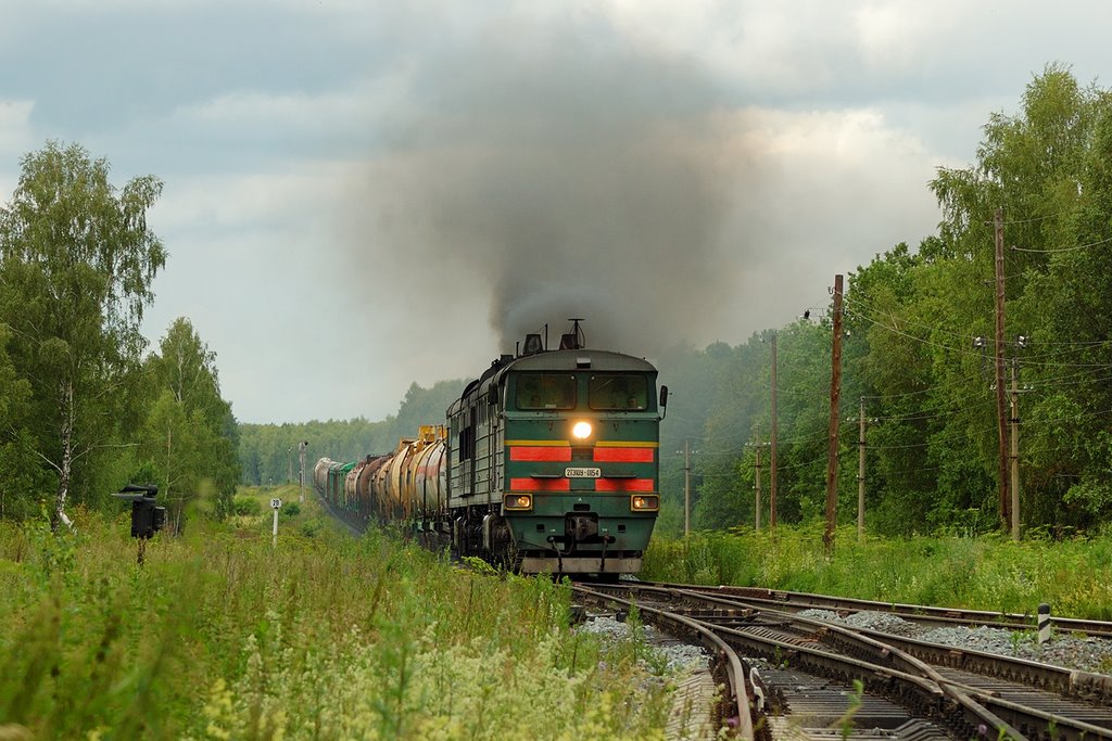 Разъезд 28 км. Тепловоз 2ТЭ10У-0154 с грузовым поездом из Ульяновска
