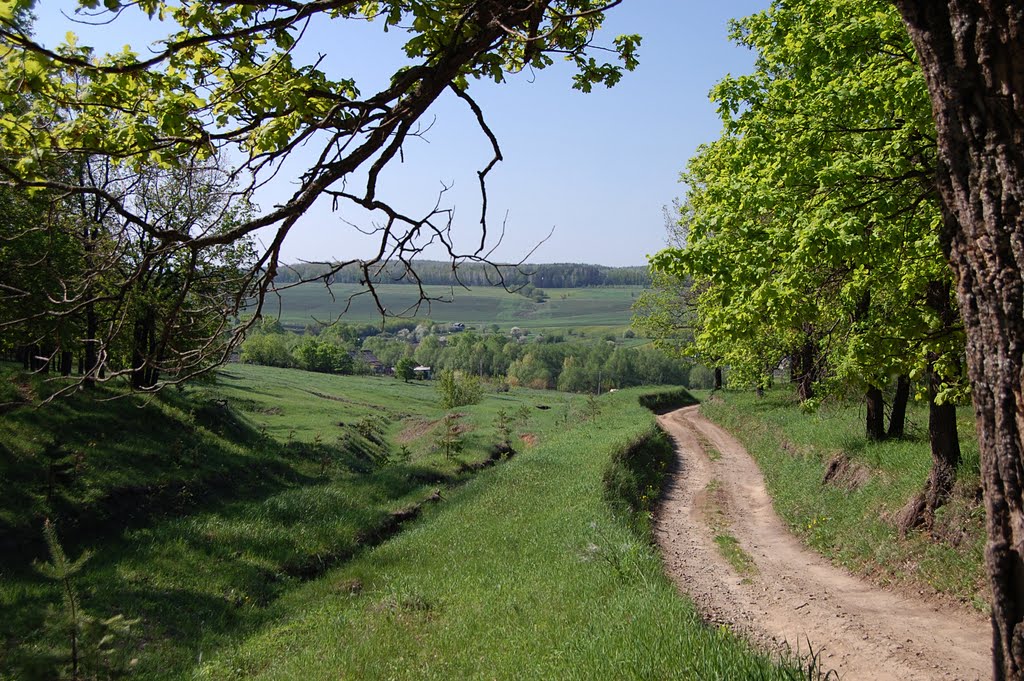 Дорога в деревню Федькино # The road to village Fedkino