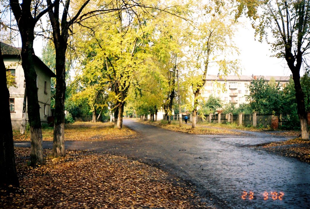 Инза, Диатомовый комбинат, улица Менделеева, вид от остановки, 2002 год