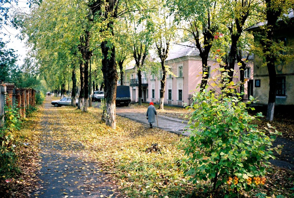 Инза, Диатомовый комбинат, вид на улицу Ломоносова, 2002 год