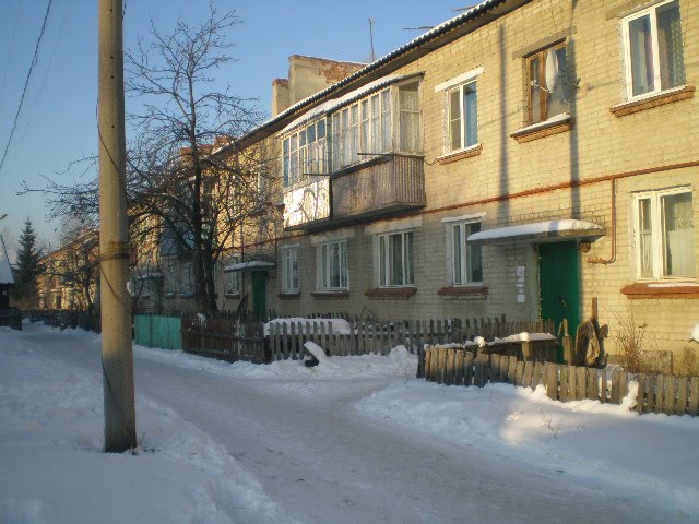 Дом 55 по ул. Яна лациса