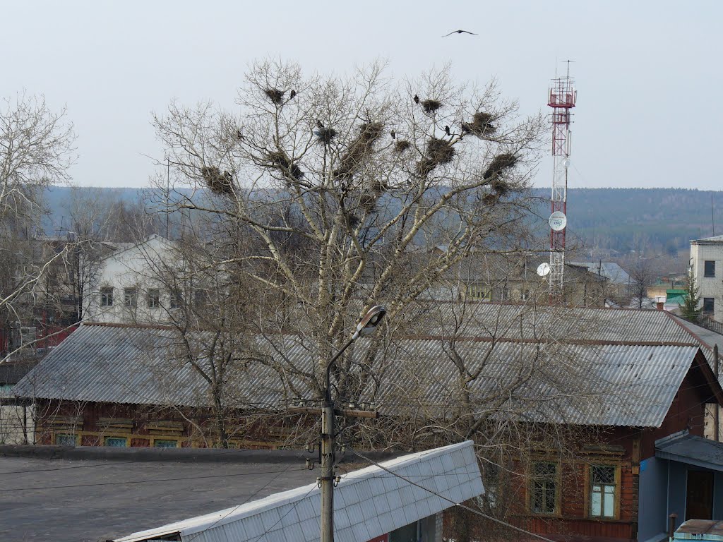 Инза, вид с пешеходного моста