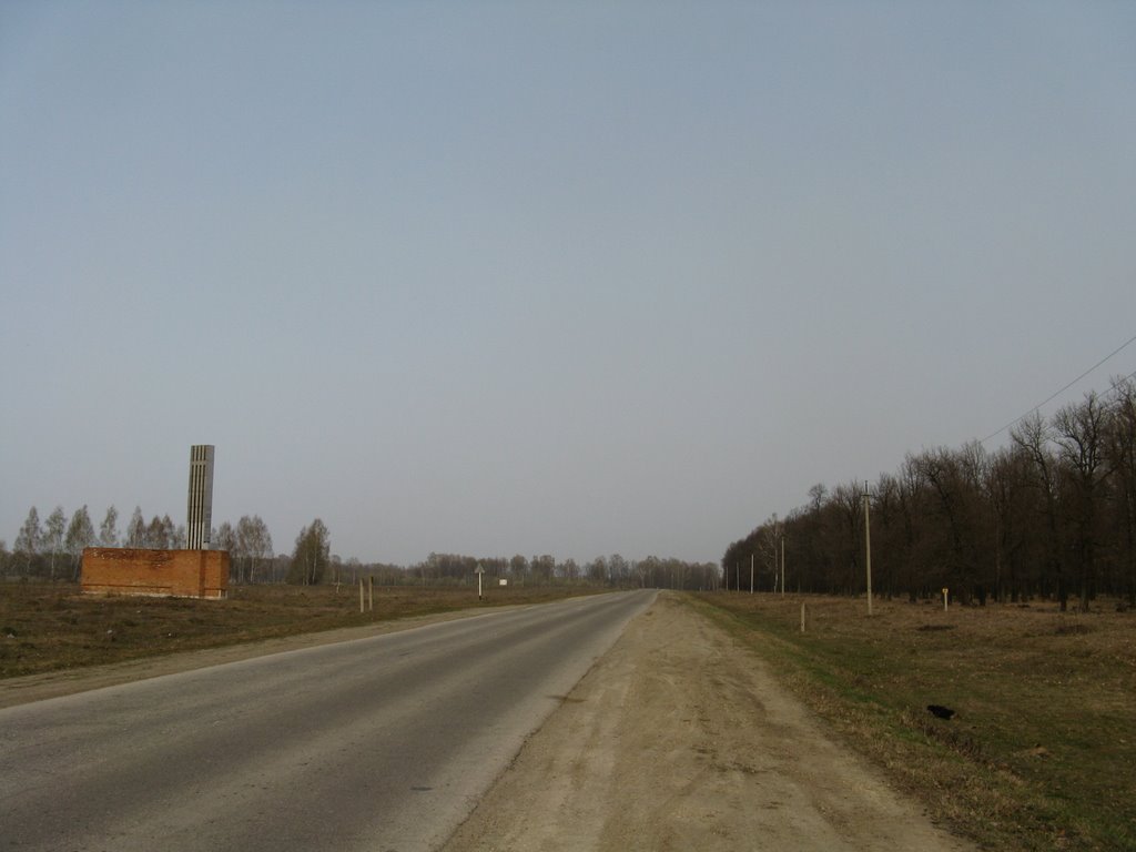 Выезд из Майны, дорога на Ульяновск