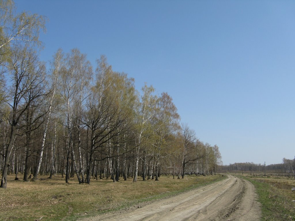 Дорога на Томбы