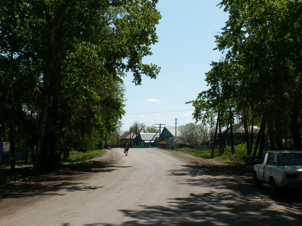 ул.Ленина, Радищево, Ульяновская обл.