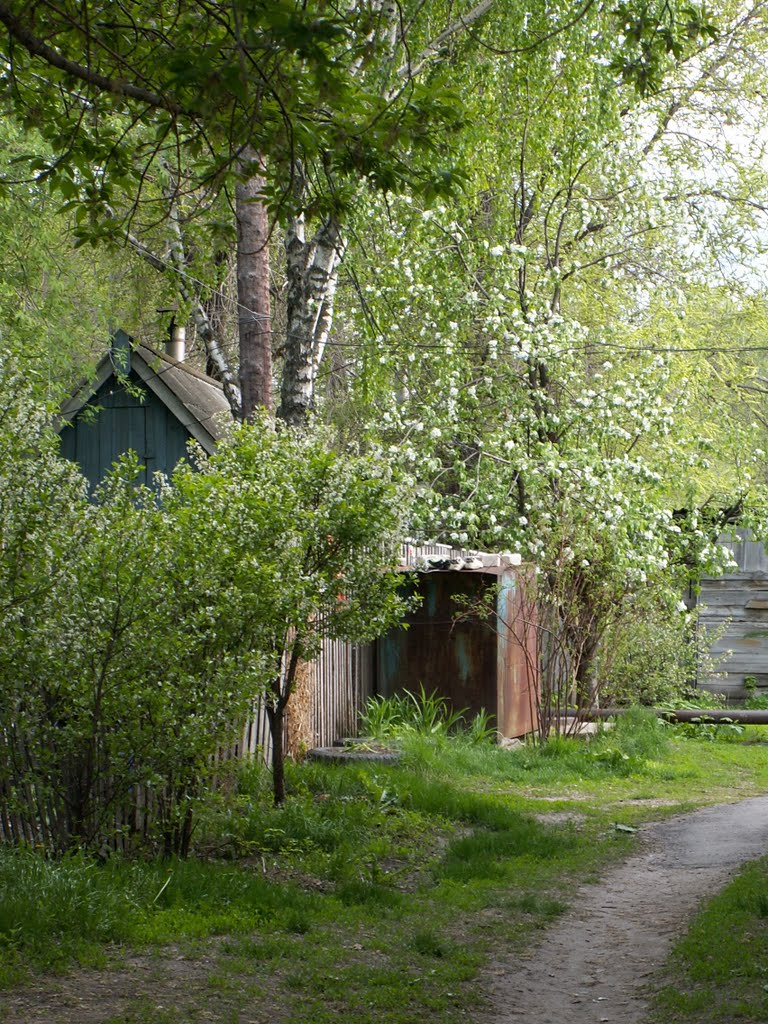 Дворик на ул.Свердлова, Радищево, Ульяновская обл.