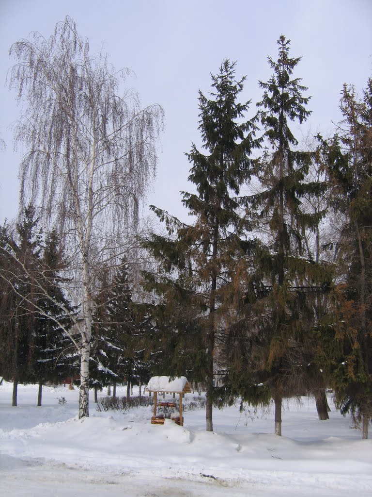 Колодец на площади