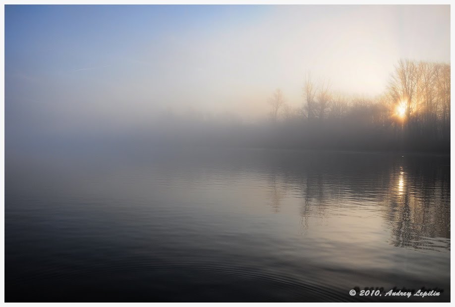 Cobweb morning