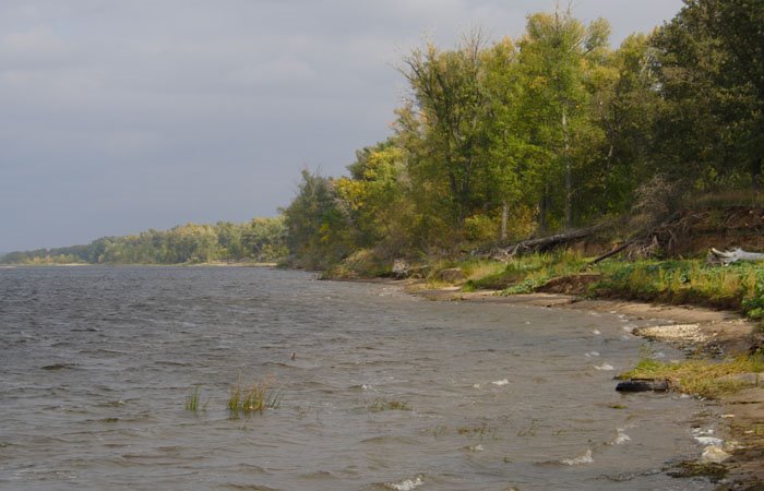Sandy beach. The left coast of the river Volga