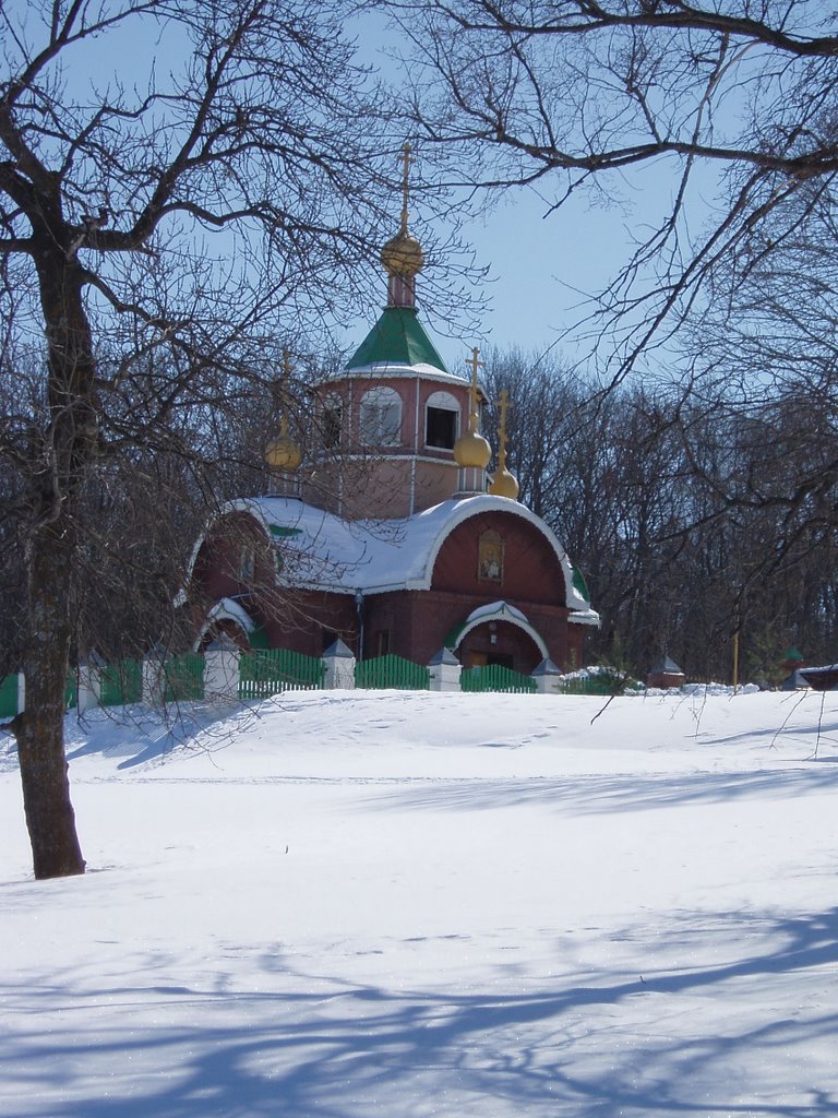 Россия, Саратовская область, Шиханы, Церковь