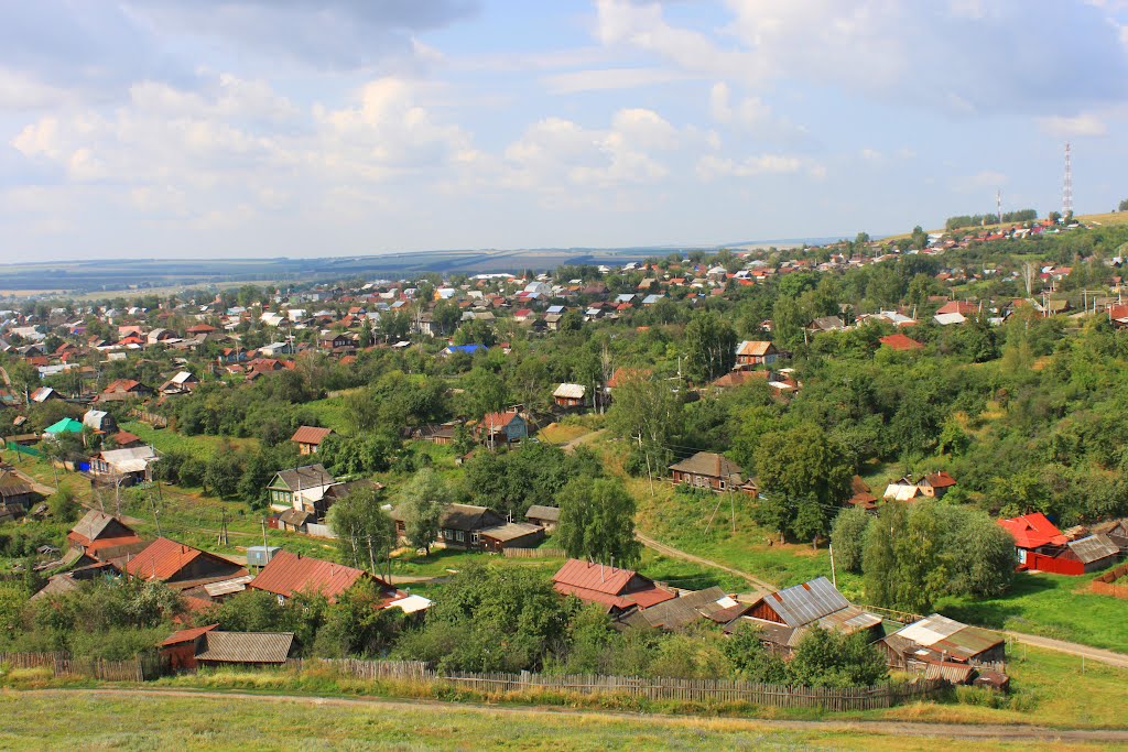 Сурское