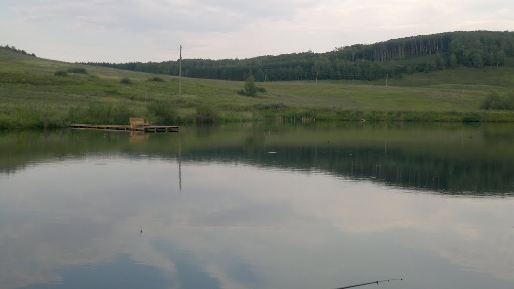 Сурский пруд