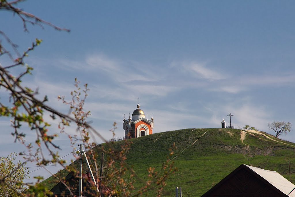 Николина гора в Сурском