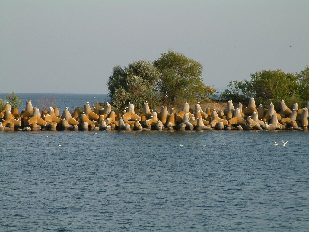 Breakwater protecting cargo docks