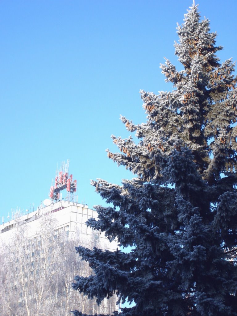 Гостиница "Венец"