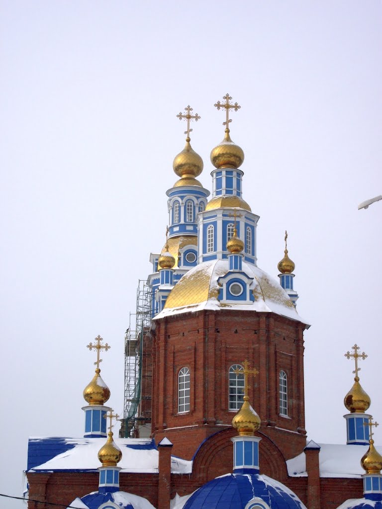 Купола кафедрального собора