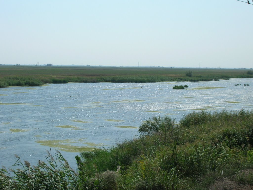 river Don