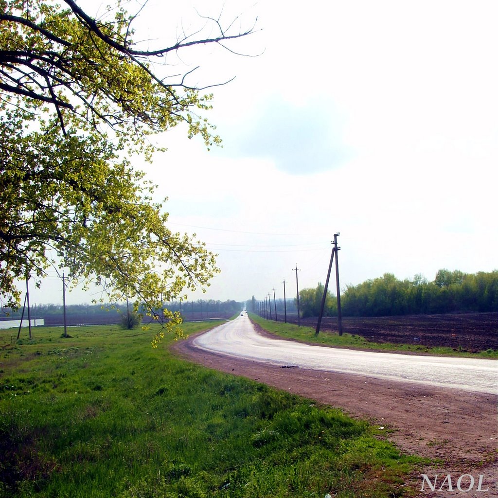 Country road
