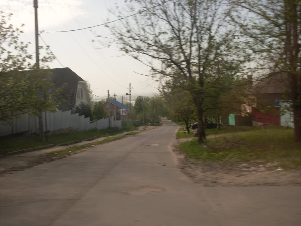 6 мая 2010.