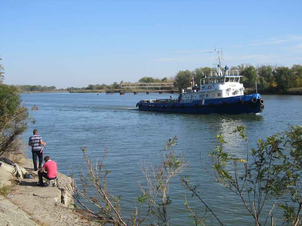 Don River / Река Дон
