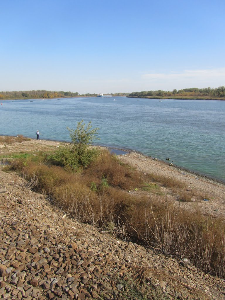Don River / Река Дон