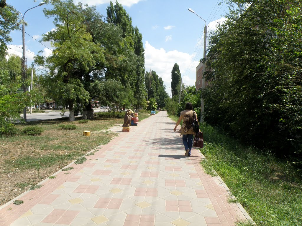 Aksay. Sadovaya St. Аксай. ул. Садовая.