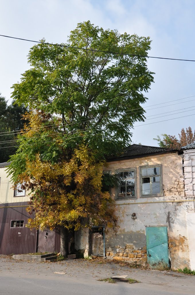 Аксай / Aksai