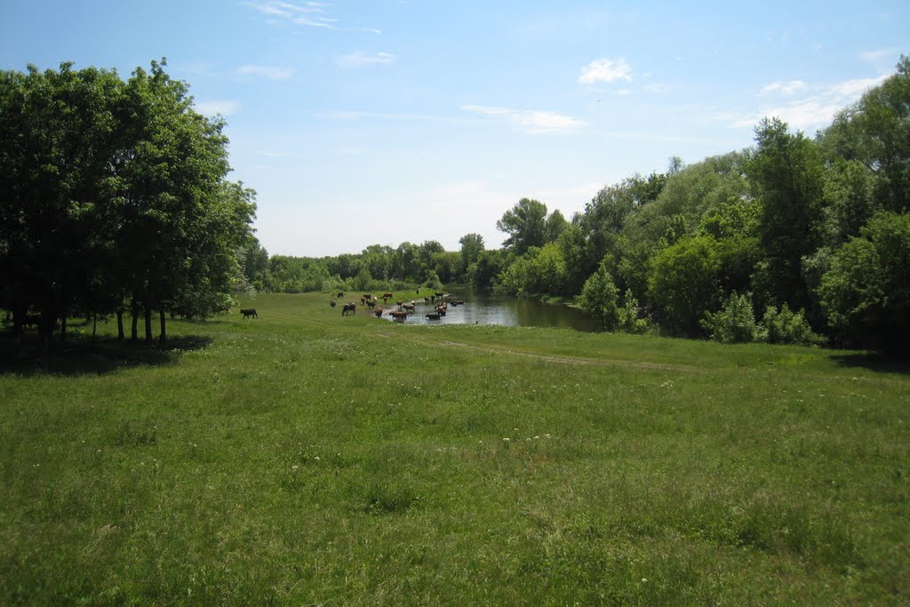 Деркул. Derkul.