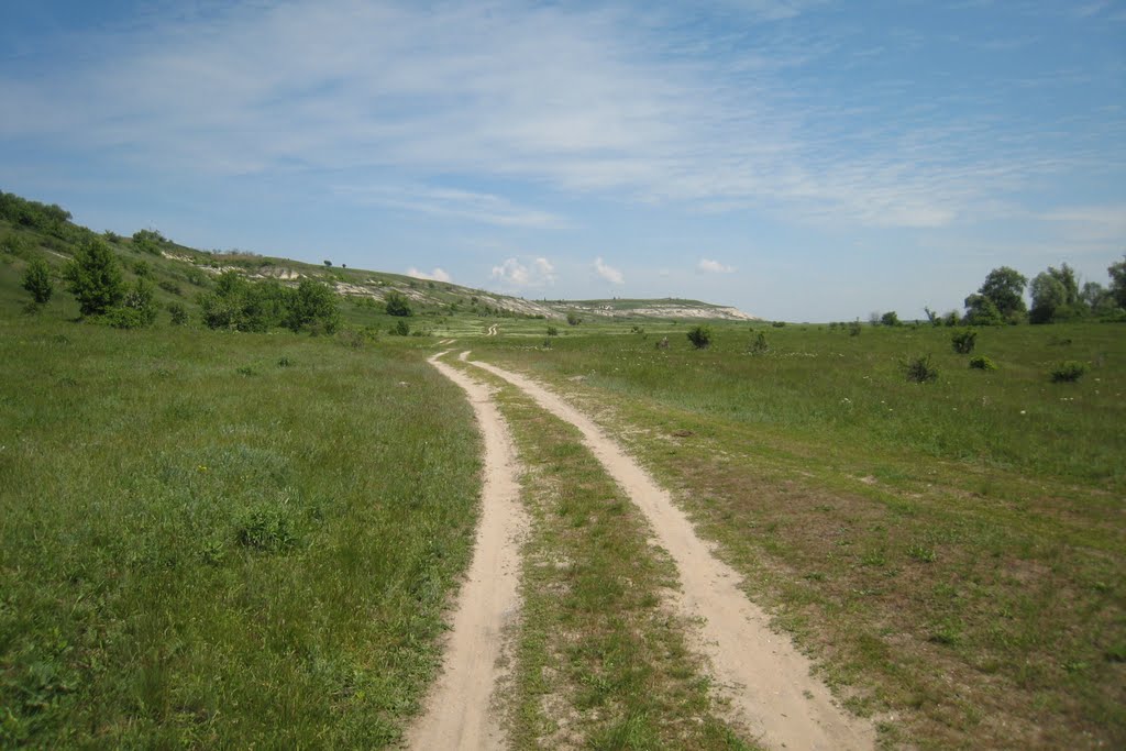 У белых скал. Near white rocks.