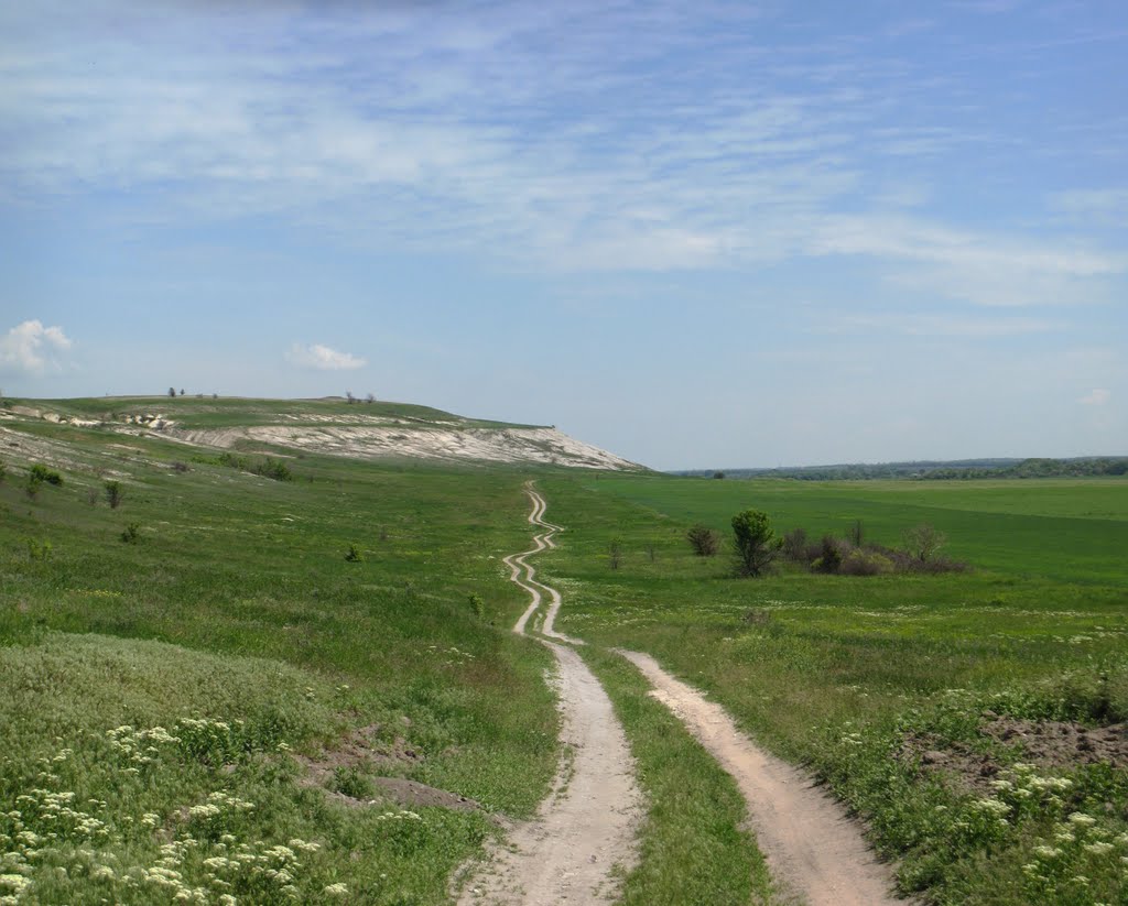 У белых скал. Near white rocks.
