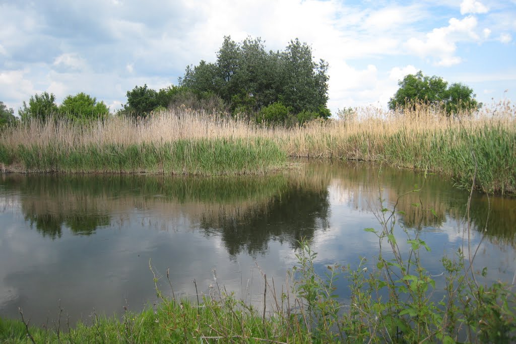 Деркул. Derkul.