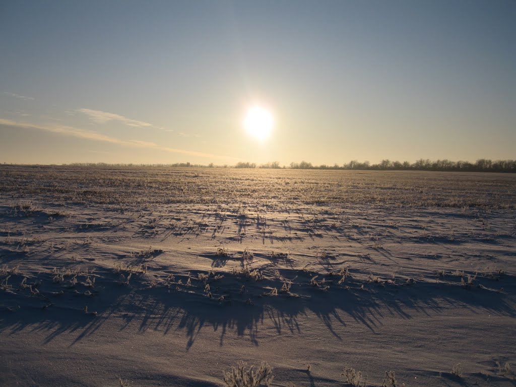 Зима степь закат ( Sunset in the sea of ​​snow )