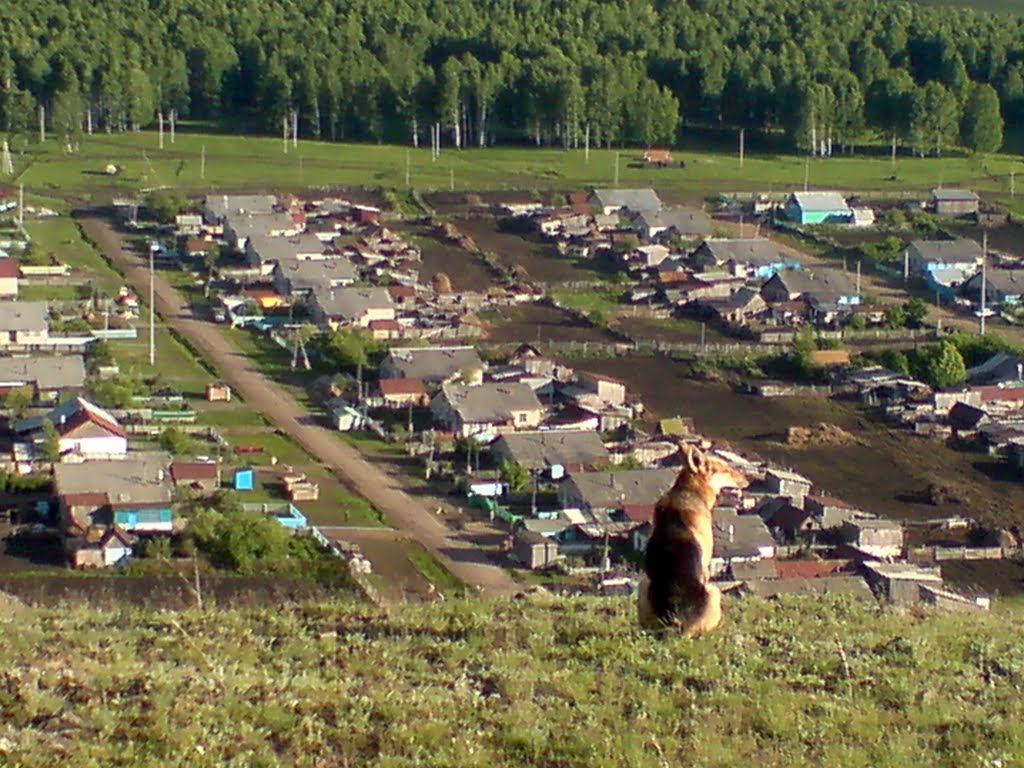 балдеет