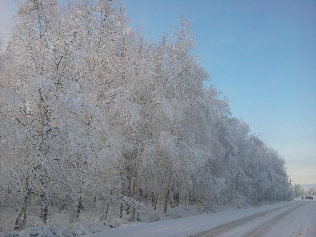Богородское. Иней