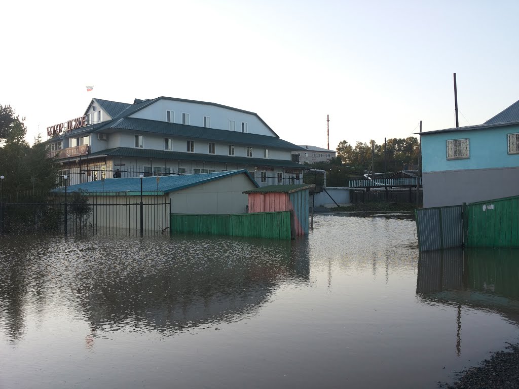 подтопления в Богородском